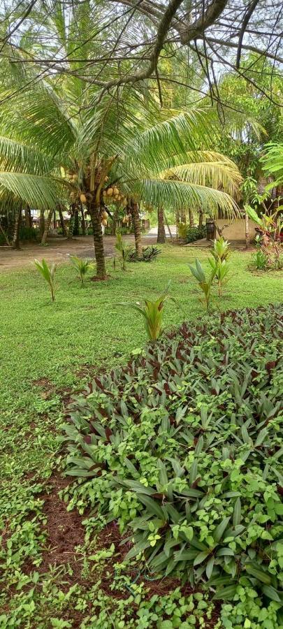 Selong Belanak Bungalows 외부 사진