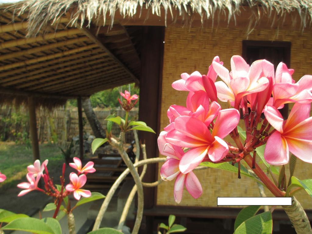 Selong Belanak Bungalows 외부 사진